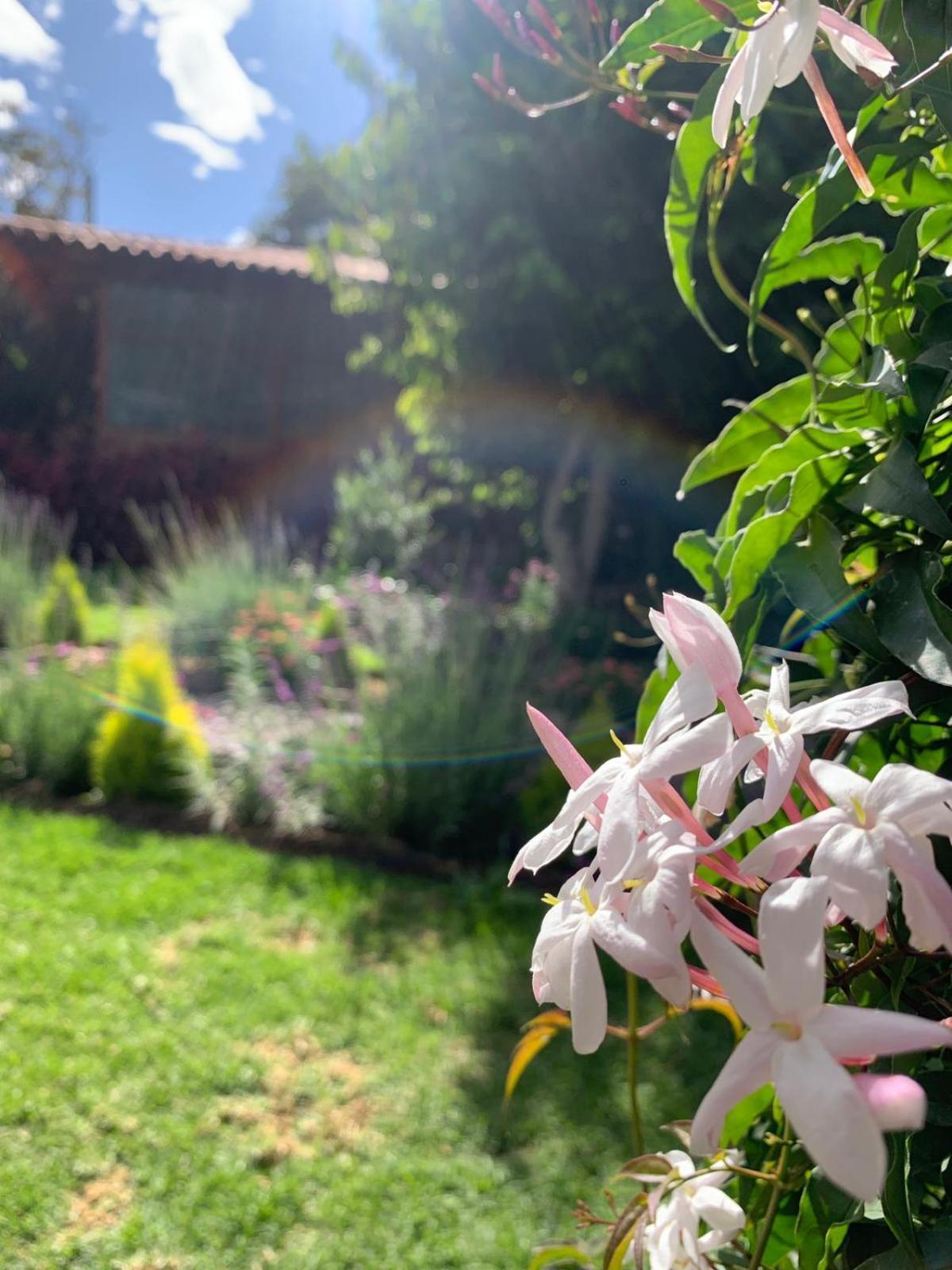Petite Marie Casona Boutique Bed and Breakfast Yucay Εξωτερικό φωτογραφία